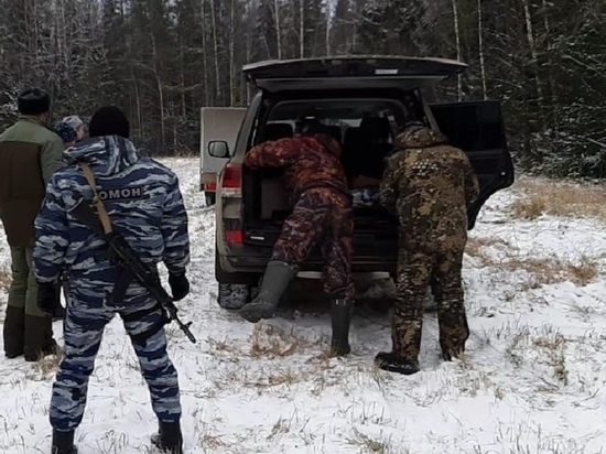    Фото: Пресс-служба министерства экологии и природопользования МО Анастасия Давыдова