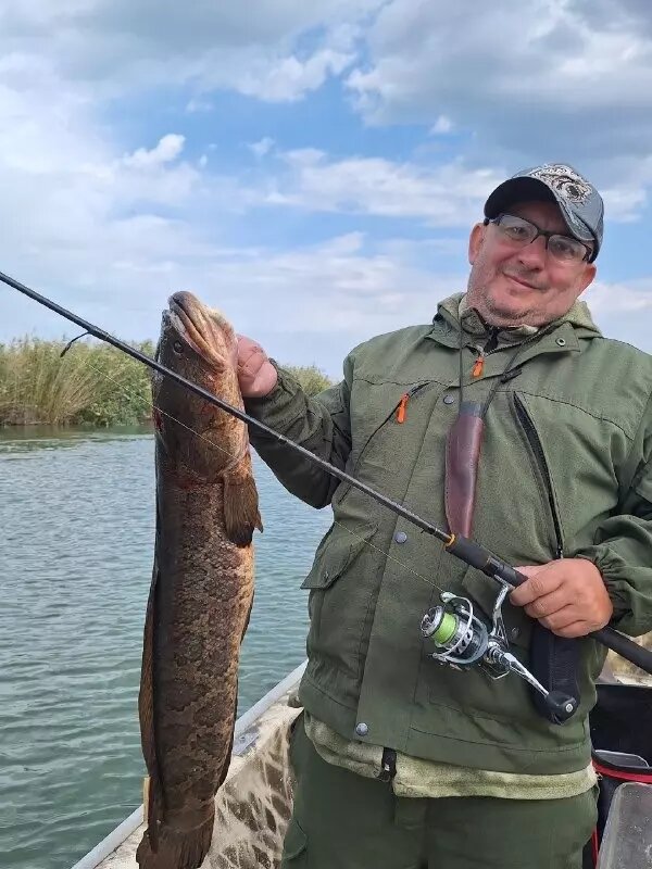     Источник: Темы Тюмени