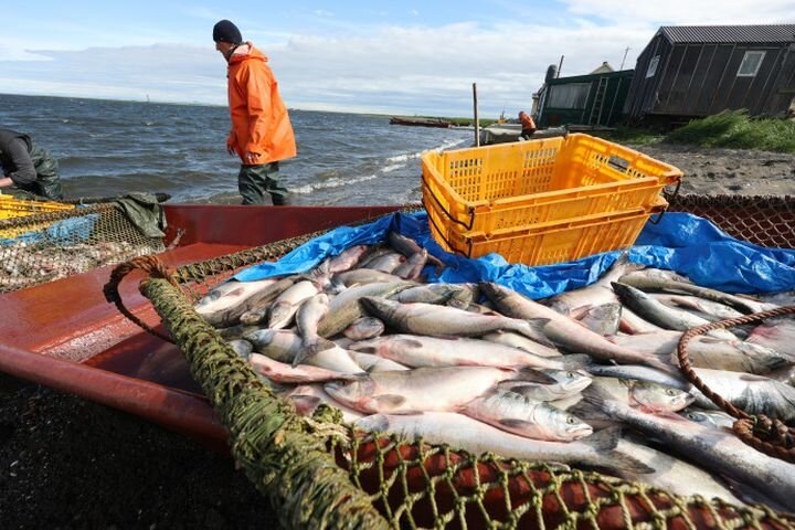 Российские рыбаки возвратились с уловом. Источник: fish.gov.ru.