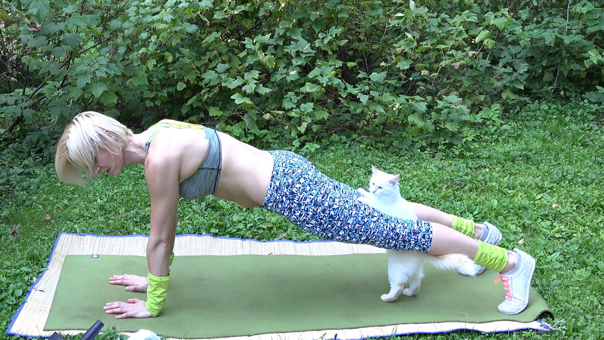 полистайте веселую кошачью галерею, кот - не мой, встретились впервые