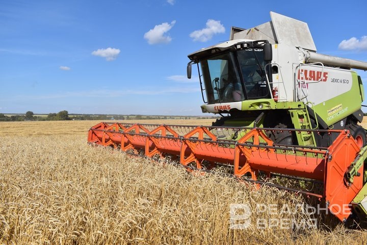 Фото: Реальное время