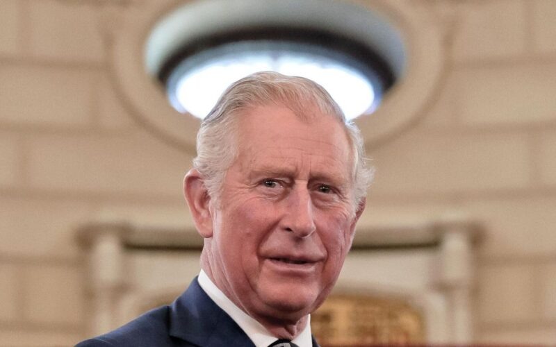 Карл III. Фото: Социальные сети. Фотография взята из открытых источников.  📷
