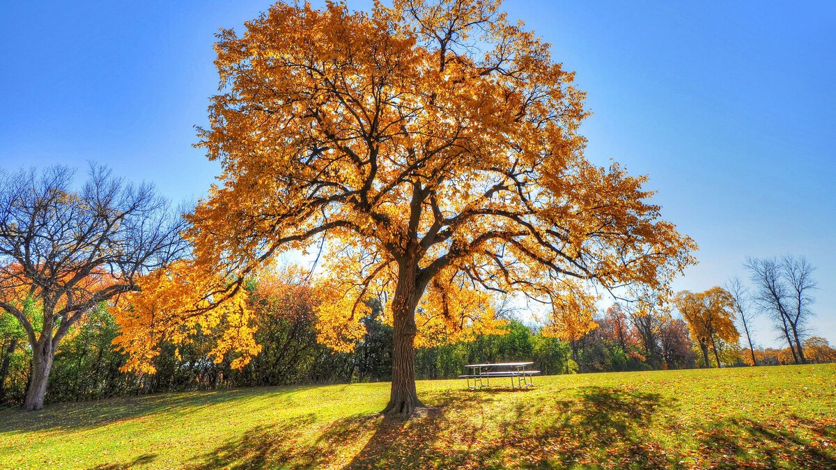 Гороскоп на пятницу 11 октября 2024г