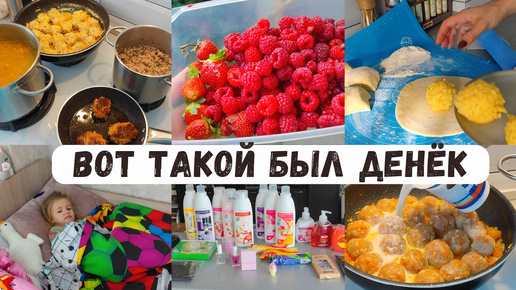 Дела домашние🤰Готовлю 🧑‍🍳 Собираем ягоды 🍇 Большой заказ Фаберлик 📦 Съездили к родителям ❤️