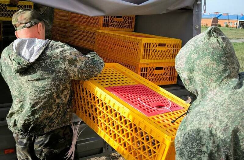    Фото: пресс-служба министерства природы Краснодарского края