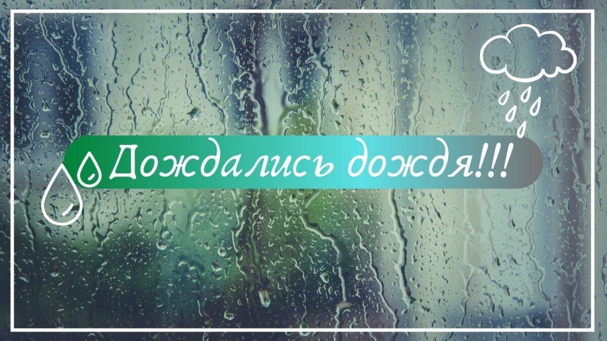 Воронежская обл.2024г июль,август,сентябрь..