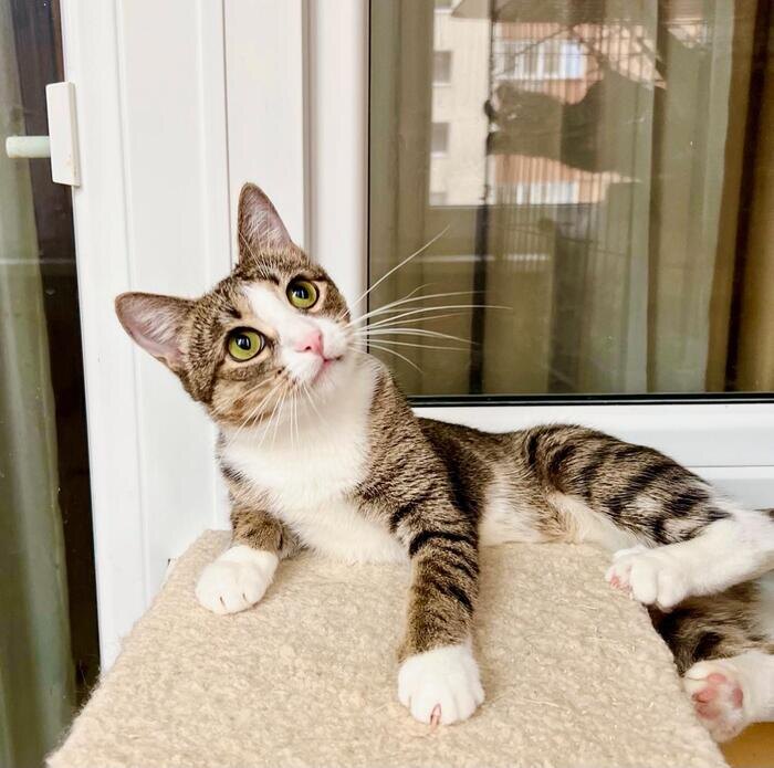 Листайте вправо, чтобы увидеть больше изображений