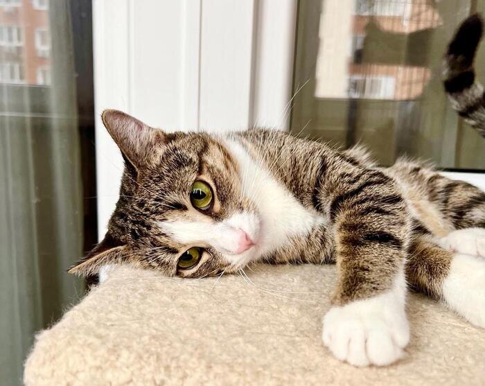 Листайте вправо, чтобы увидеть больше изображений