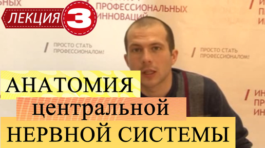 Скачать видео: Анатомия центральной нервной системы. Лекция 3. Продолжение ткани и органы. Развитие ЦНС филогенез.