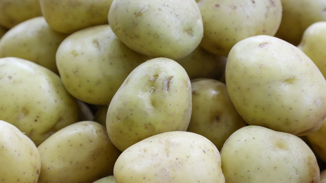    Belkin Alexey/news.ru