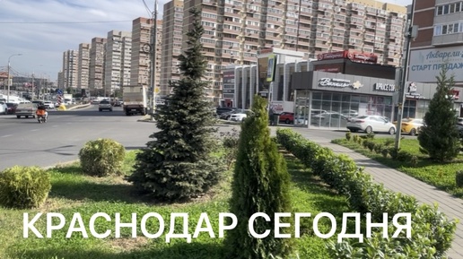 Краснодар сегодня. Ну что идем загорать?!!