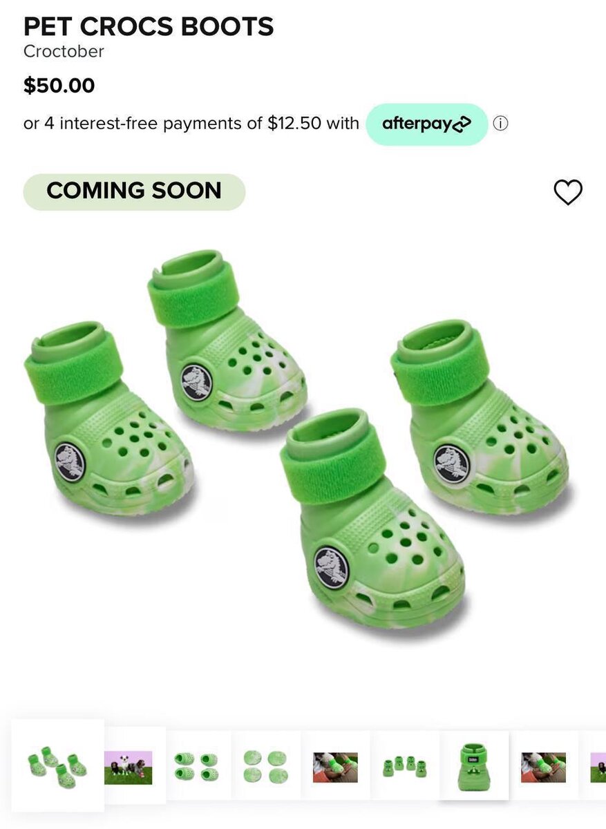 Crocs выпустили сабо для собак