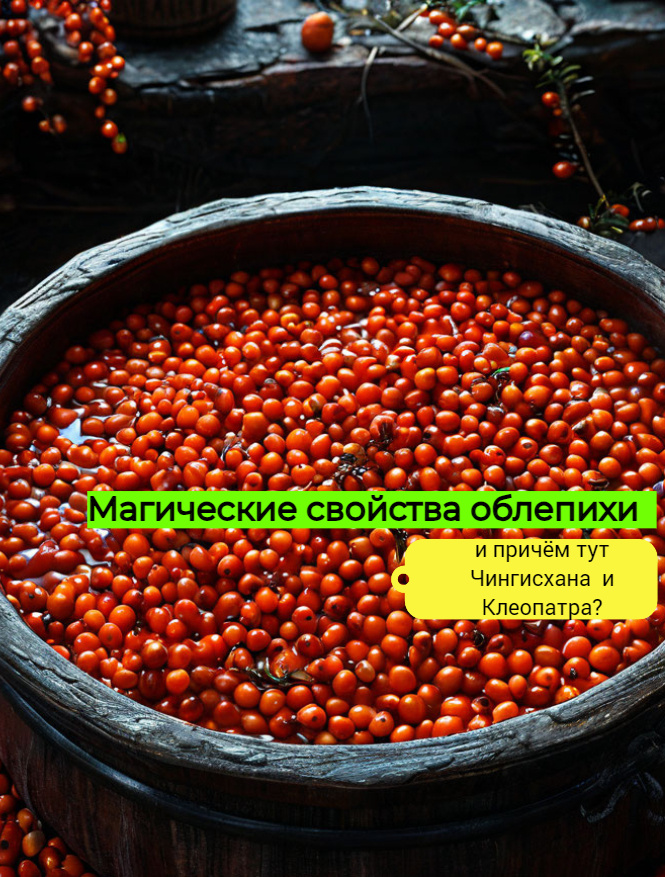 Профессор, конечно, лопух, но облепиха при нёммм, при нёммм ...