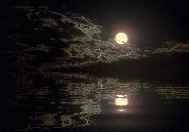 Фото: Яндекс картинки