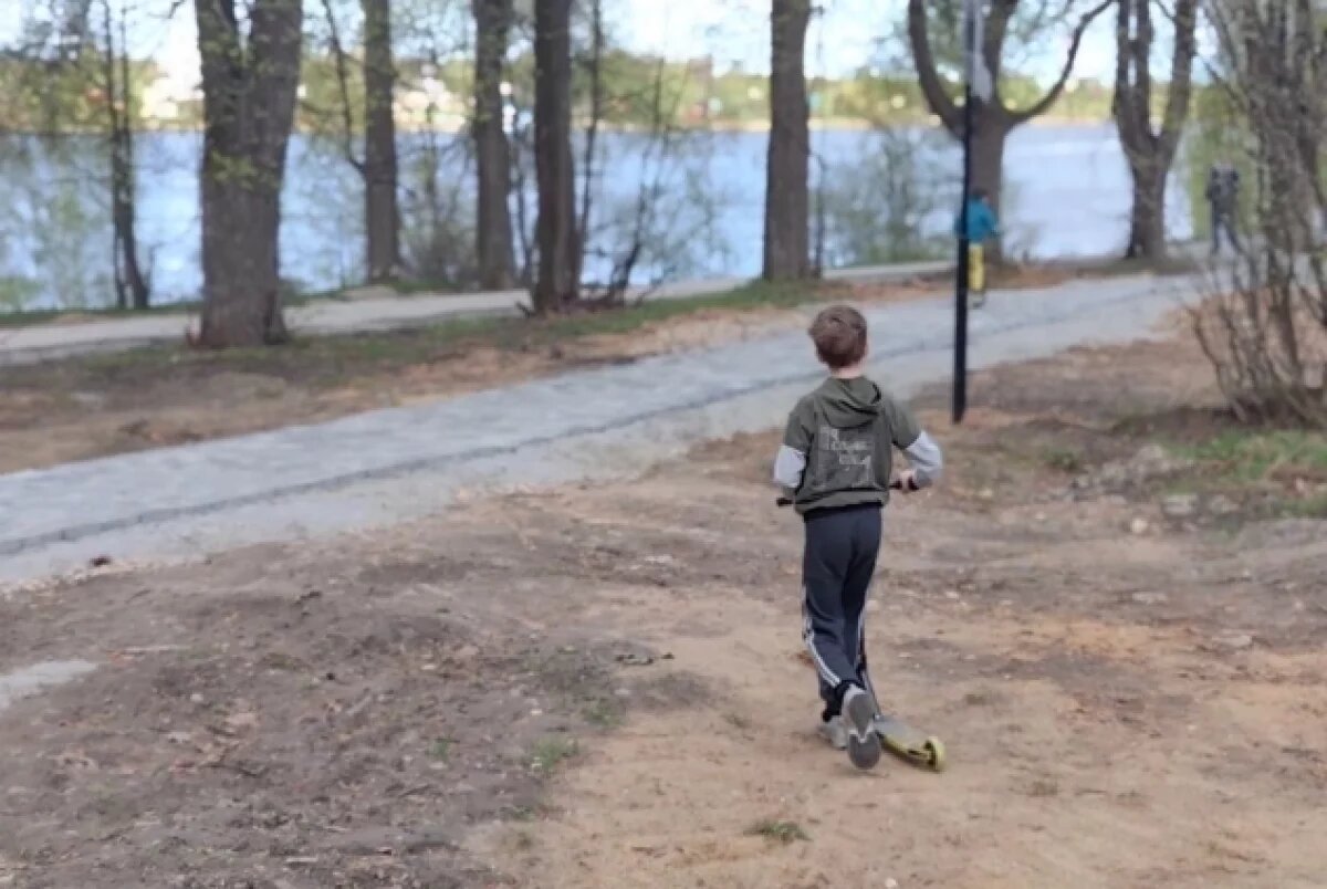    Благоустройство Павловской рощи в Ярославле намерены закончить до морозов