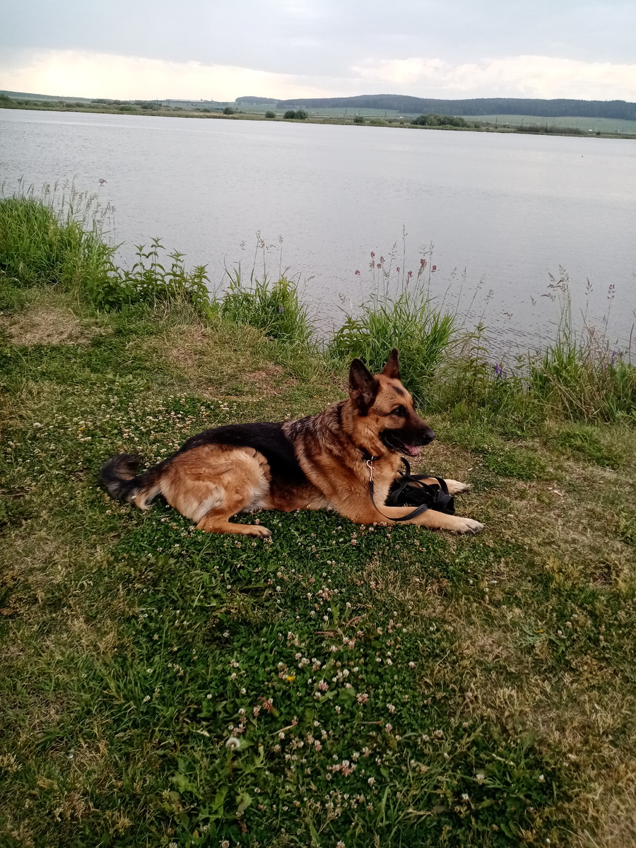 Это Атос думает о смысле жизни