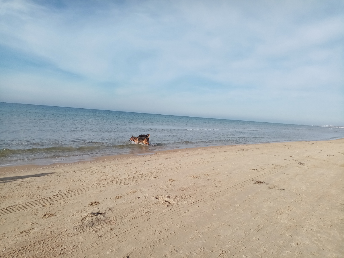 Фото автора