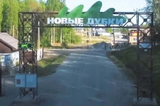    А дубы-колдуны