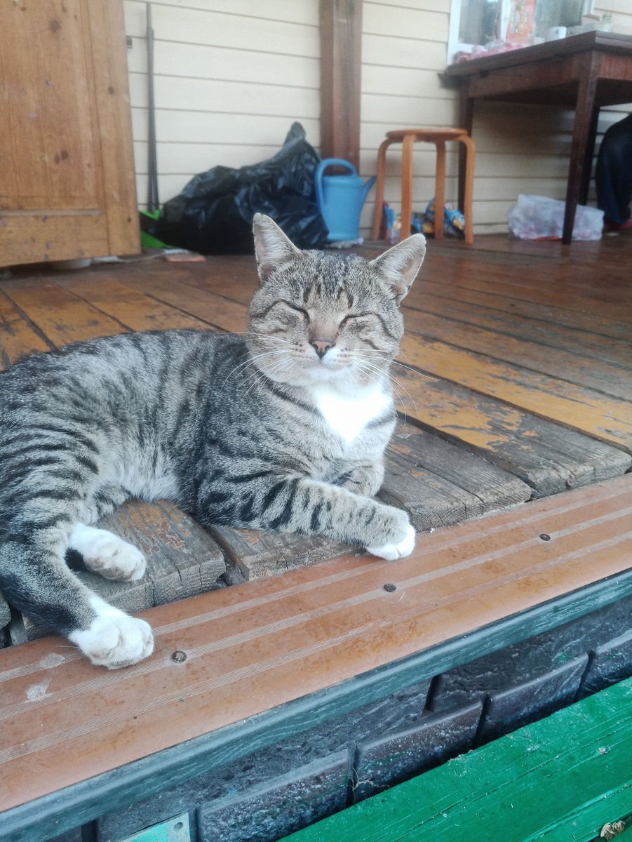 Бантик-охранник