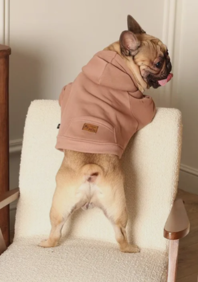 Толстовки не подойдут для осени и зимы