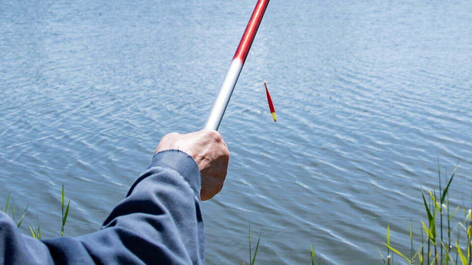 Фото: Global Look Press/Oleg Spiridonov/Business Online