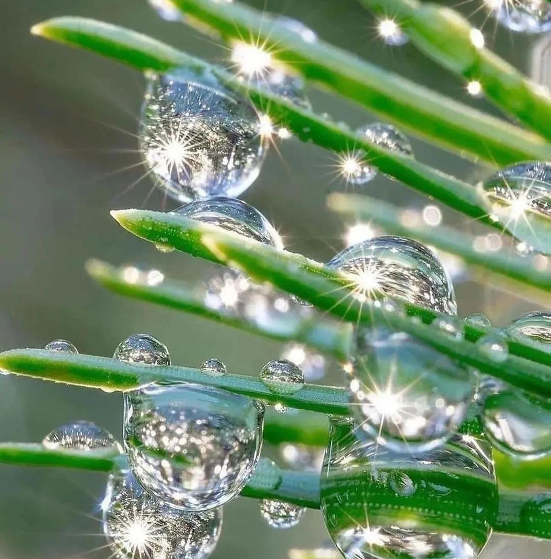 Источник фото - Instagram.