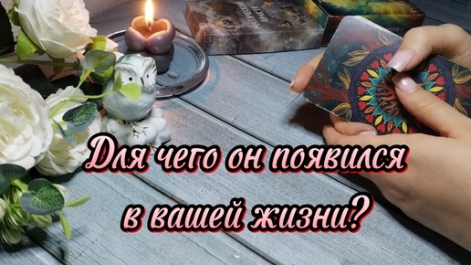 Для чего он появился в вашей жизни? Что он может вам дать? Чем помочь?