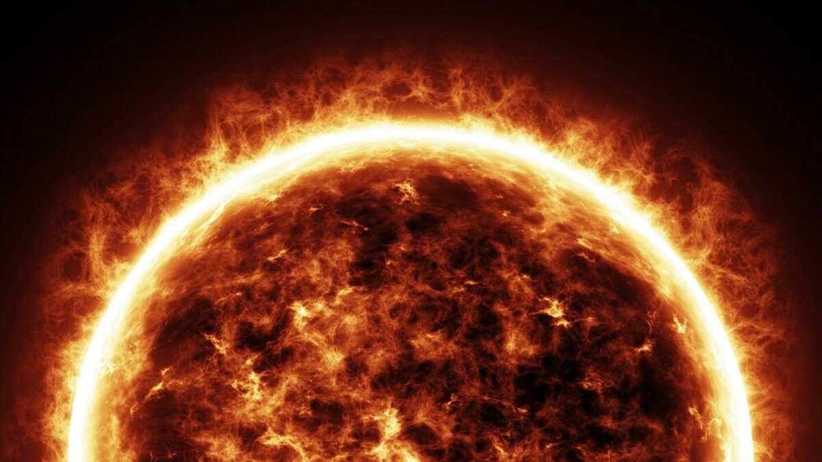     / Источник: © Global Look Press