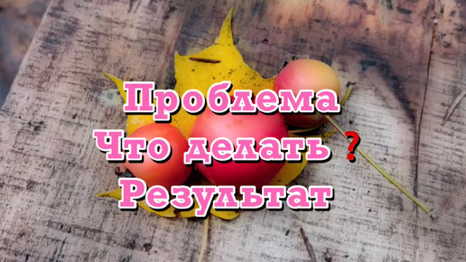 Проблема. Что делать? Результат #руны #гадание #расклад