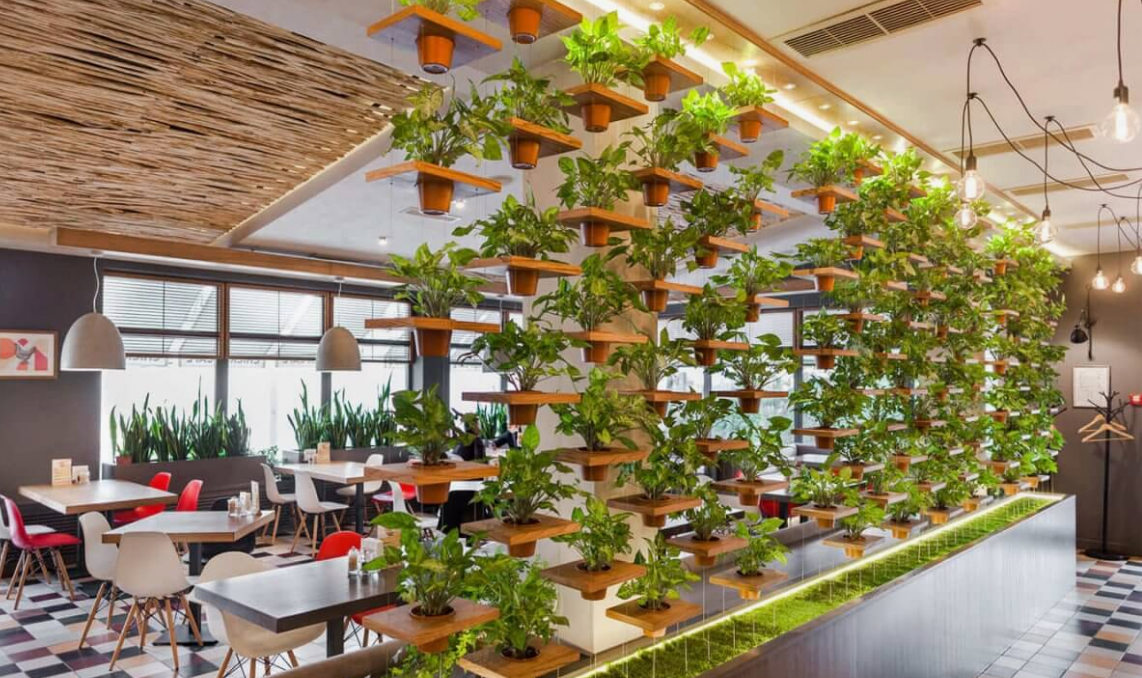 фото процитировано с сайта: radomas.by