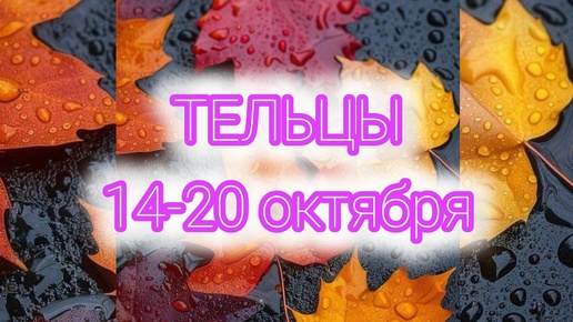 ТЕЛЬЦЫ. Неделя с 14-20 октября. Победа! Таро прогноз.