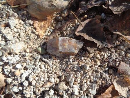 Зырянские копи. Фото автора