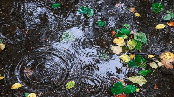    © Sputnik / Алексей Даничев