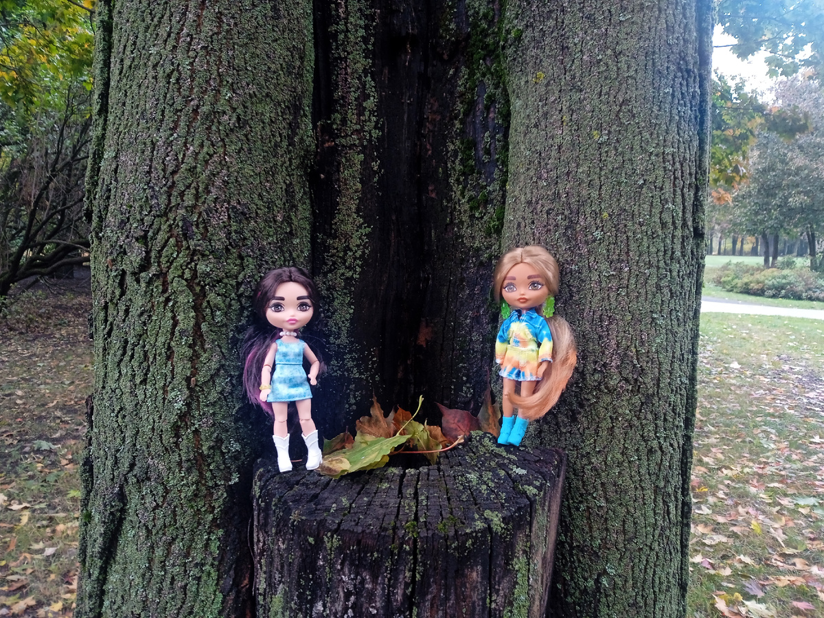 Зоя и Мия что-то задумали. Фото автора.