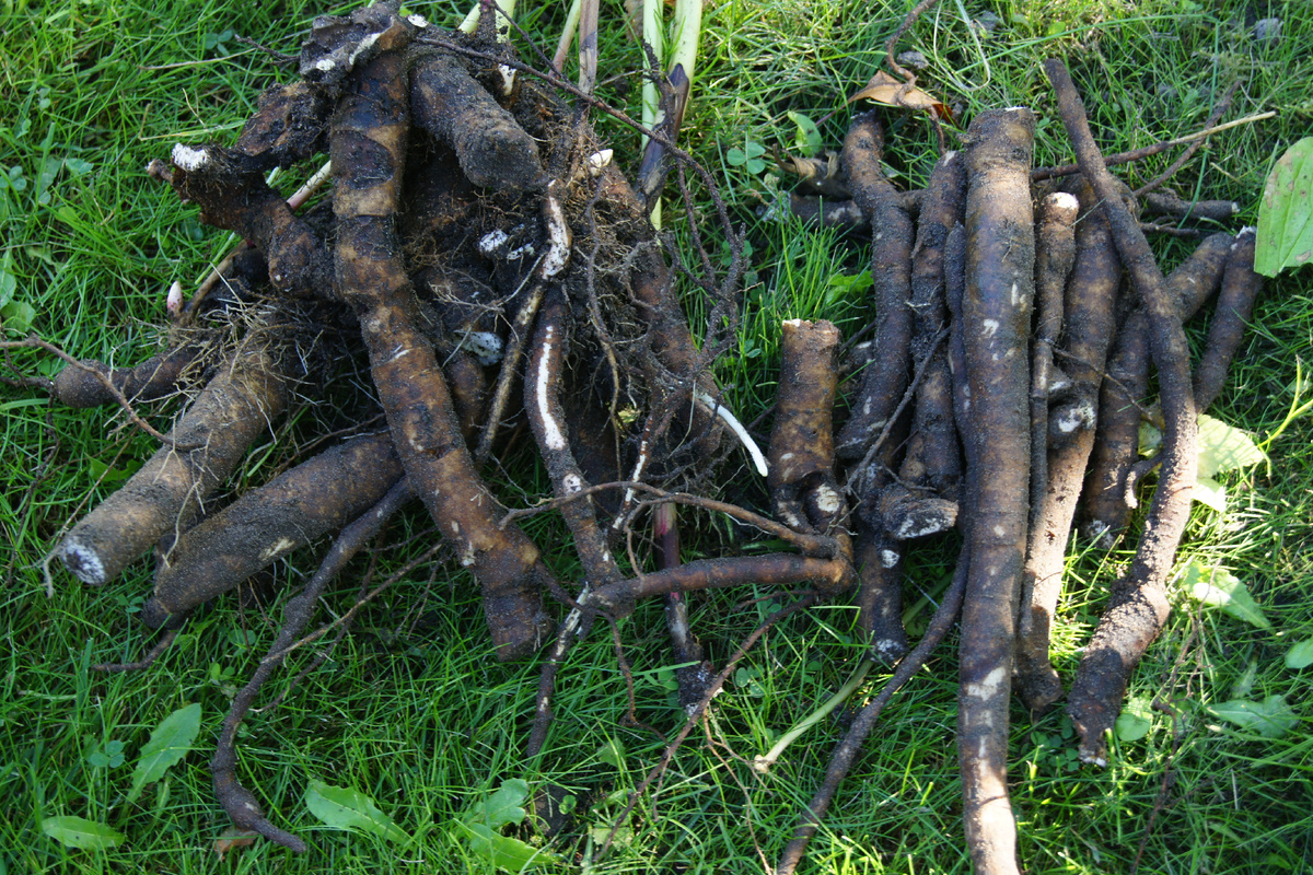 Переломал их знатно...