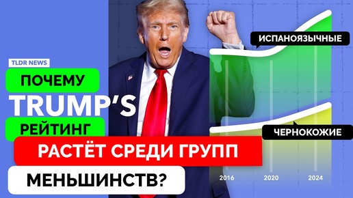 Почему Дональд Трамп Пользуется Большой Поддержкой Меньшинств В США, Чем Бывает Обычно Республиканцы? - TLDR News | 10.10.2024