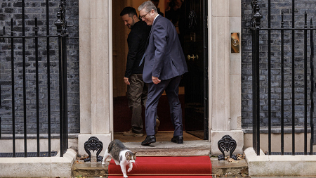 Кот Ларри. Источник: https://russian.rt.com/world/news/1380843-kot-rezidenciya-zelenskii