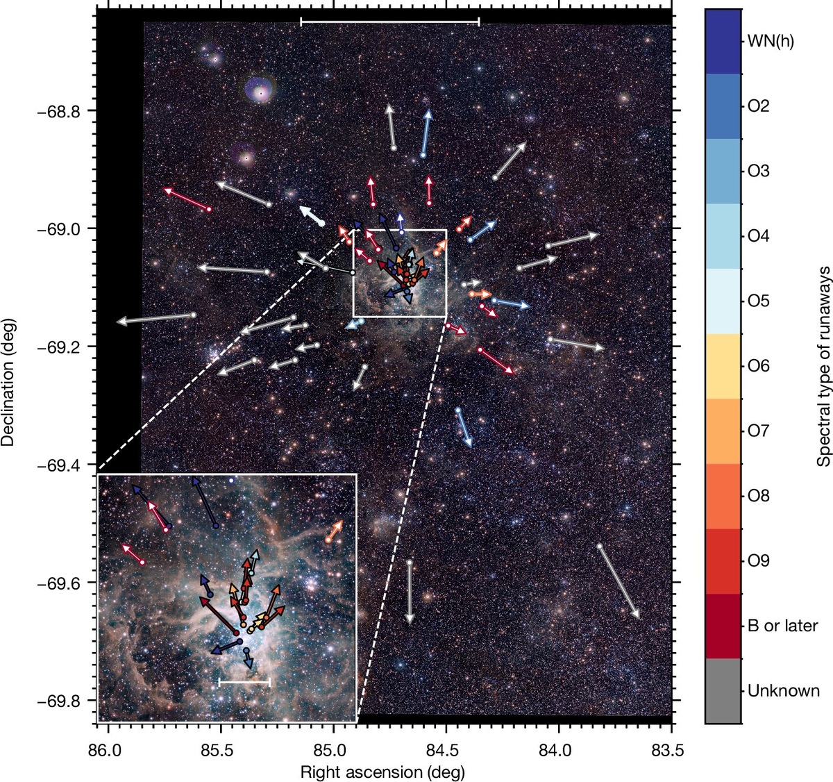 Распределение от R136 звёзд за последние 3 млн лет.    
 Источник: Nature (2024). DOI: 10.1038 / s41586-024-08013-8  📷

