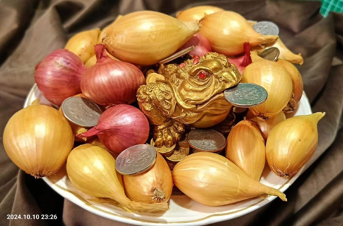 Лучок с моей грядки.