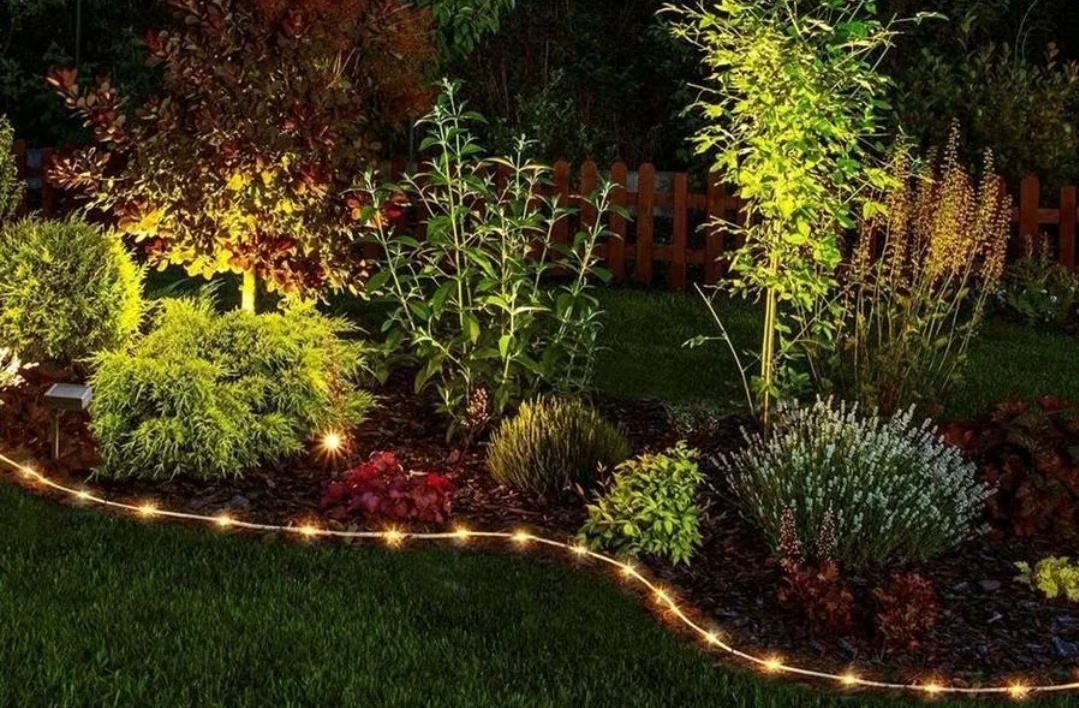 Фото из открытого источника