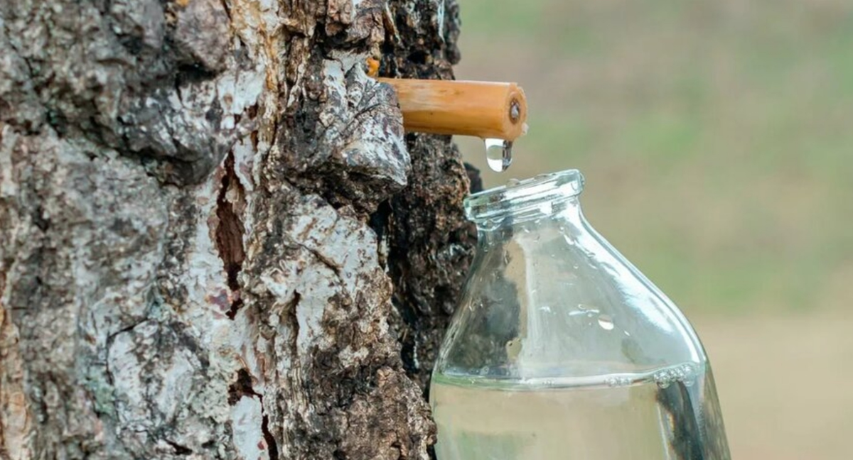 Фото из интернета