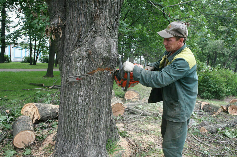   Тимур Ханов/ПГ