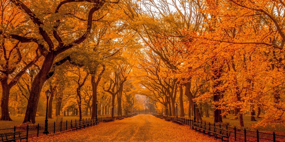 Золотая осень: самые живописные уголки России для осеннего отдыха