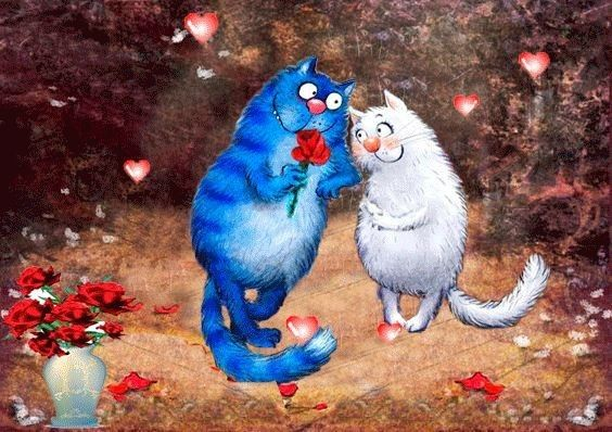 очаровательные коты Рины Зенюк