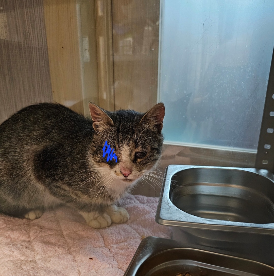 Фото автора. Забрала.