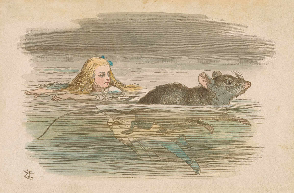 (https://img3.teletype.in/files/ee/c7/eec7b5ba-35e7-4347-b763-984a053d705a.jpeg)