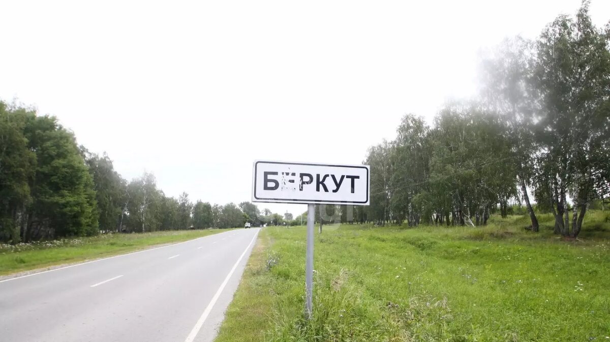 Село беркут ялуторовского