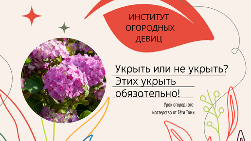 Укрыть или не укрыть? ЭТИХ УКРЫТЬ обязательно...