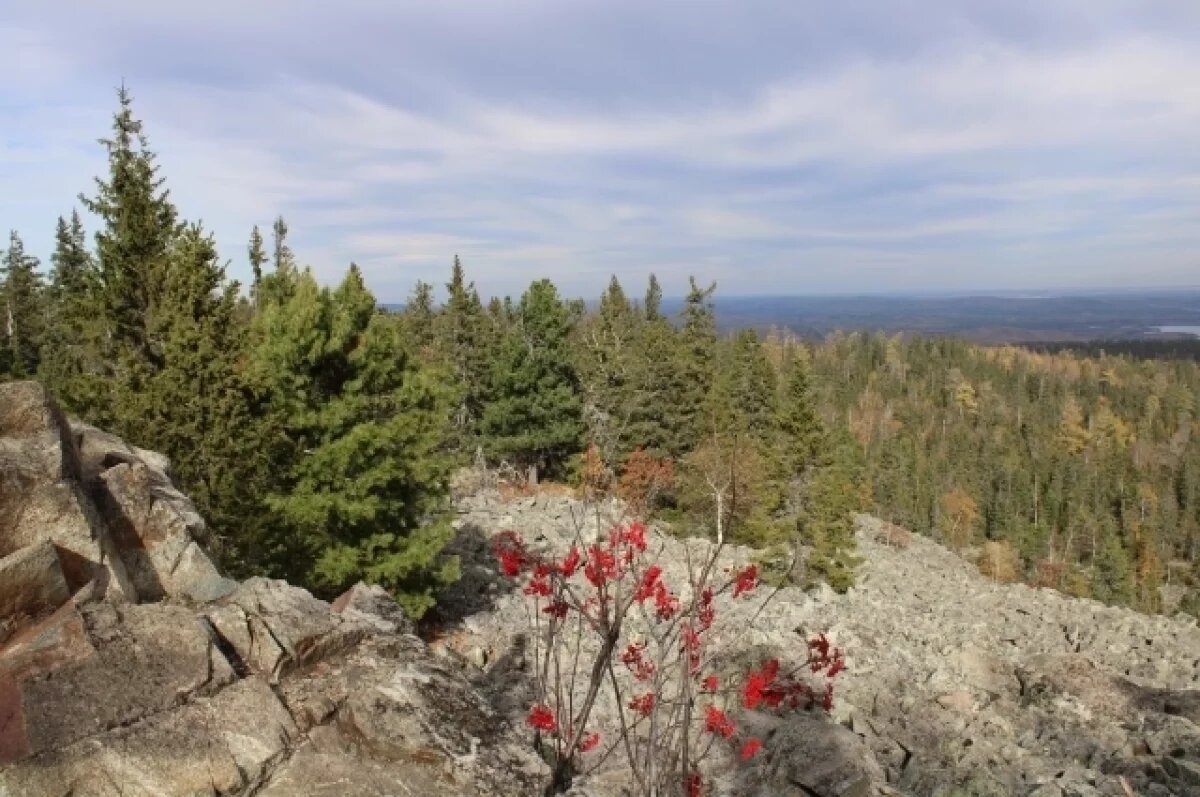    Синоптики пообещали приятный сюрприз на выходные жителям Приморья