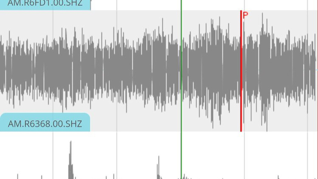    Фото: Luzhniki stadium/Instagram.com/Globallookpress